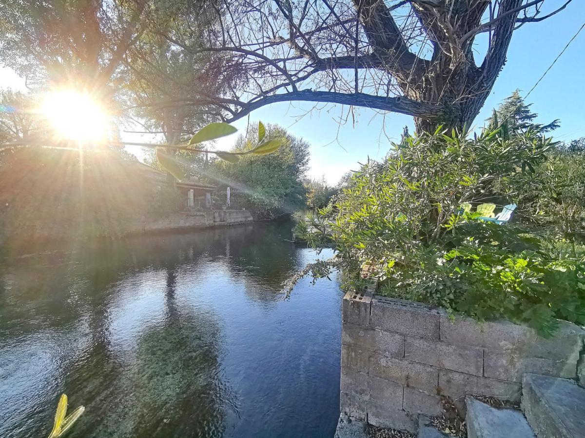 Gite L'Odonate, Partage Des Eaux 索格岛 外观 照片