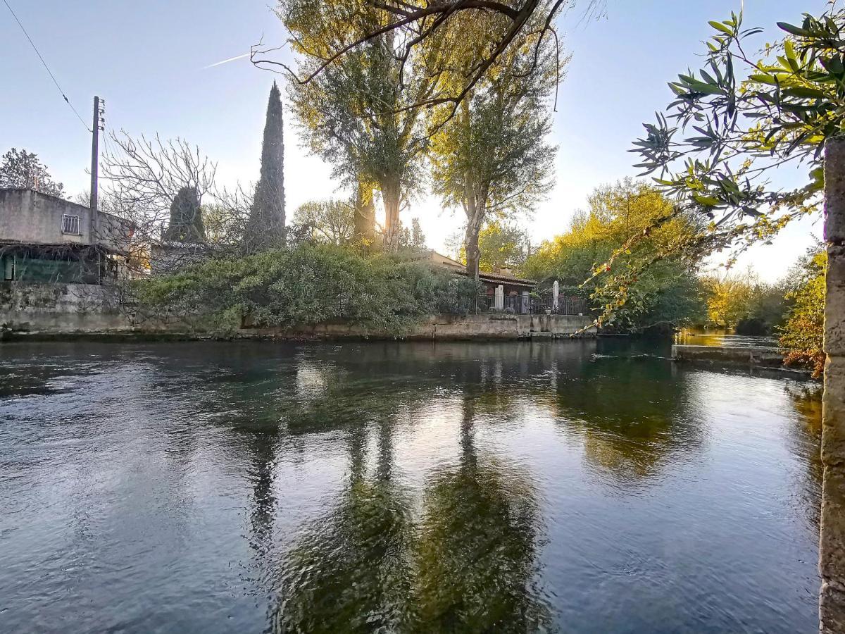 Gite L'Odonate, Partage Des Eaux 索格岛 外观 照片