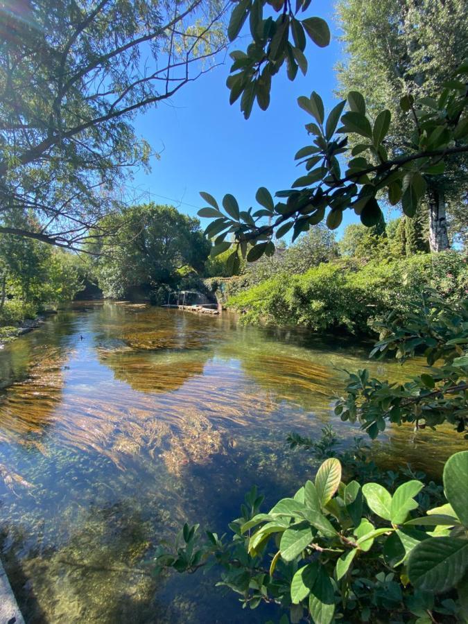 Gite L'Odonate, Partage Des Eaux 索格岛 外观 照片